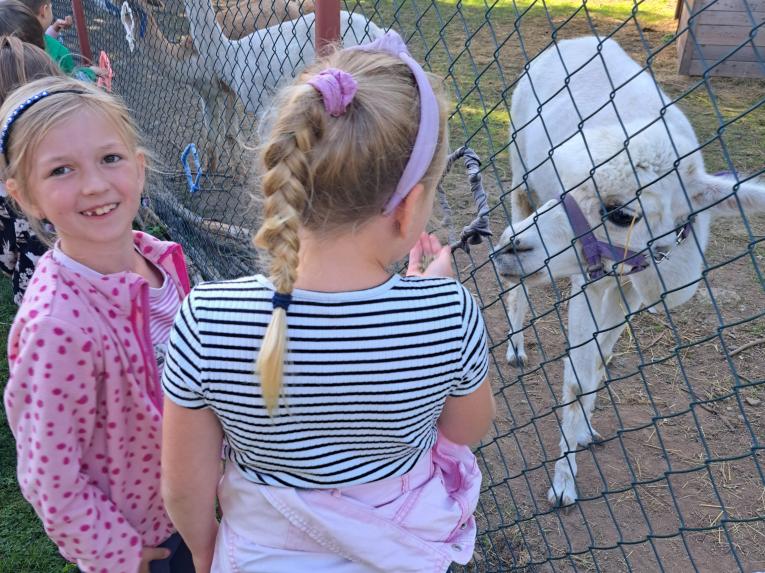 Základní škola a mateřská škola Luková